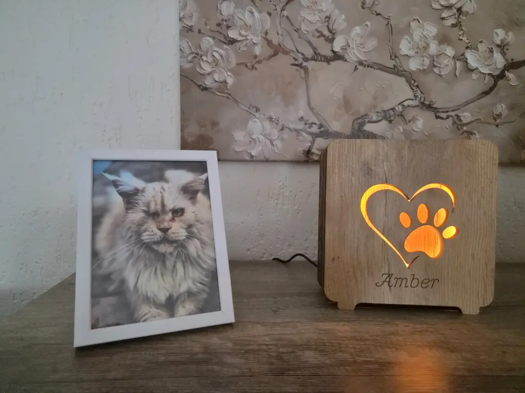 Bild von Amber