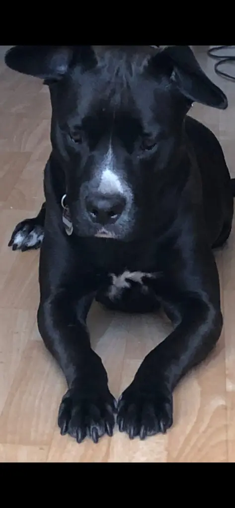 Condolence image of OMA