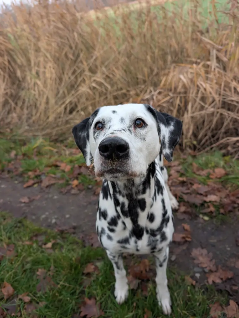 Bild von Sky