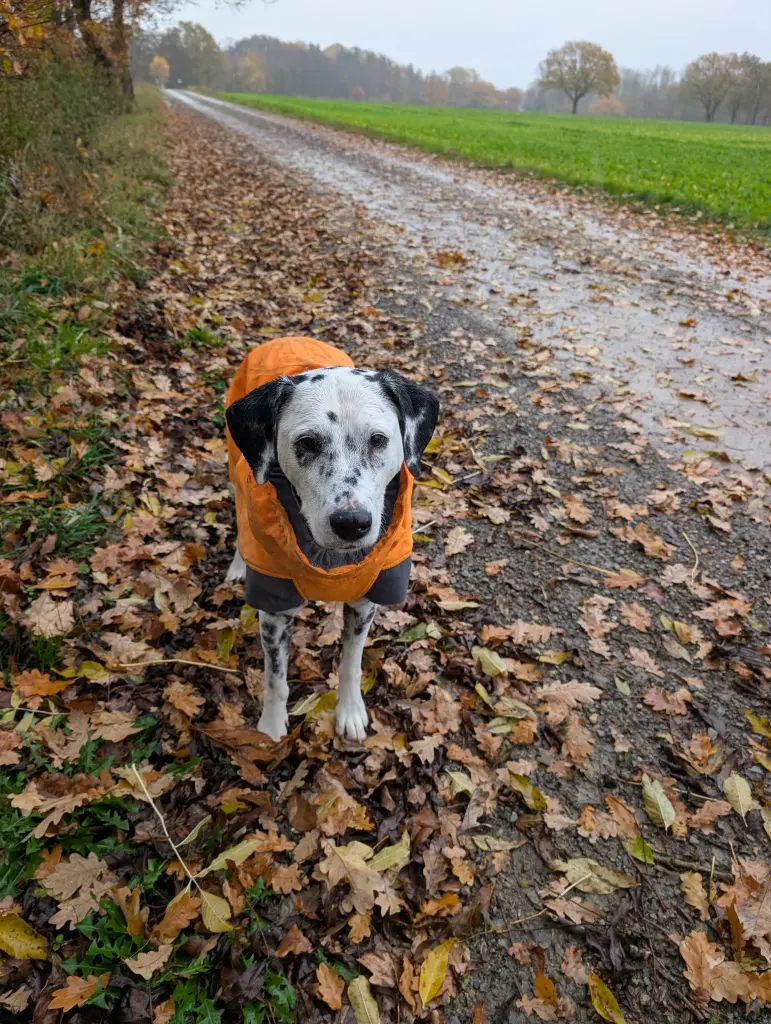 Bild von Sky