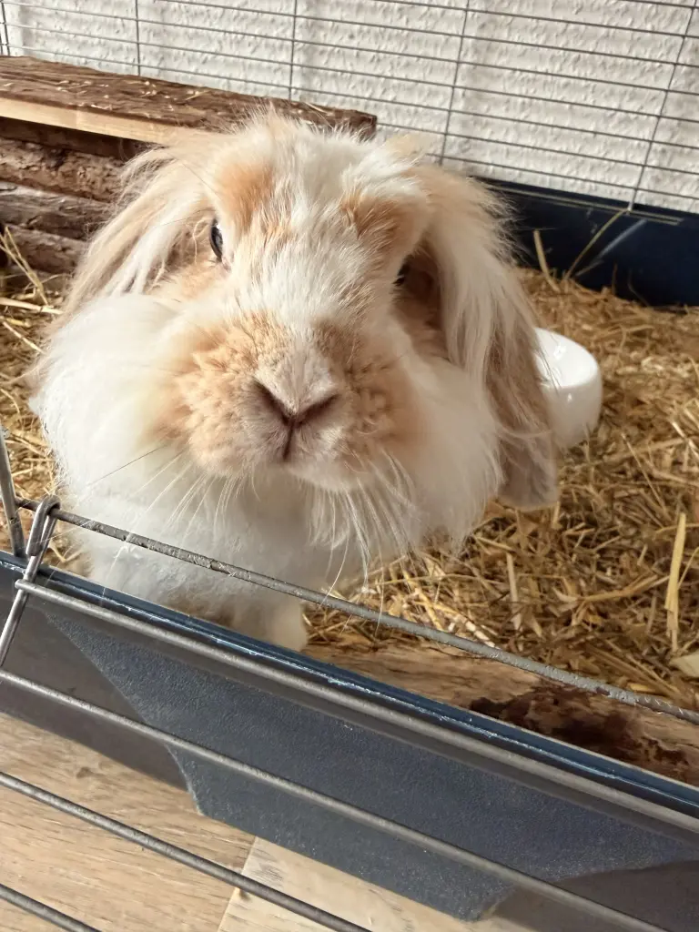 Bild von Lena