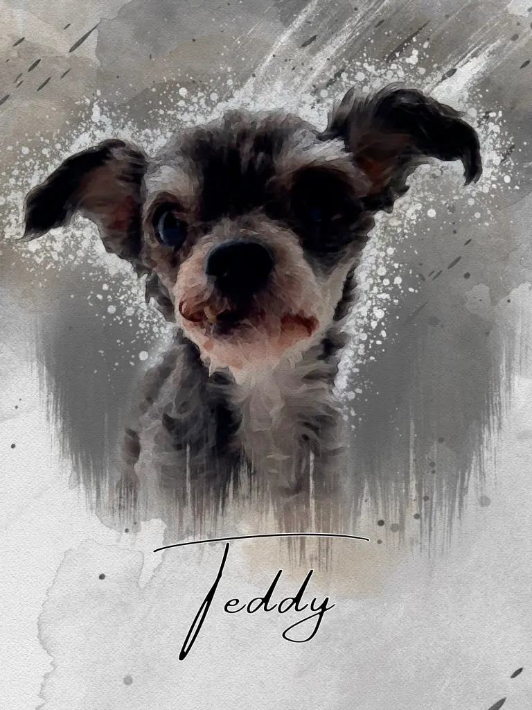 Image from Teddy