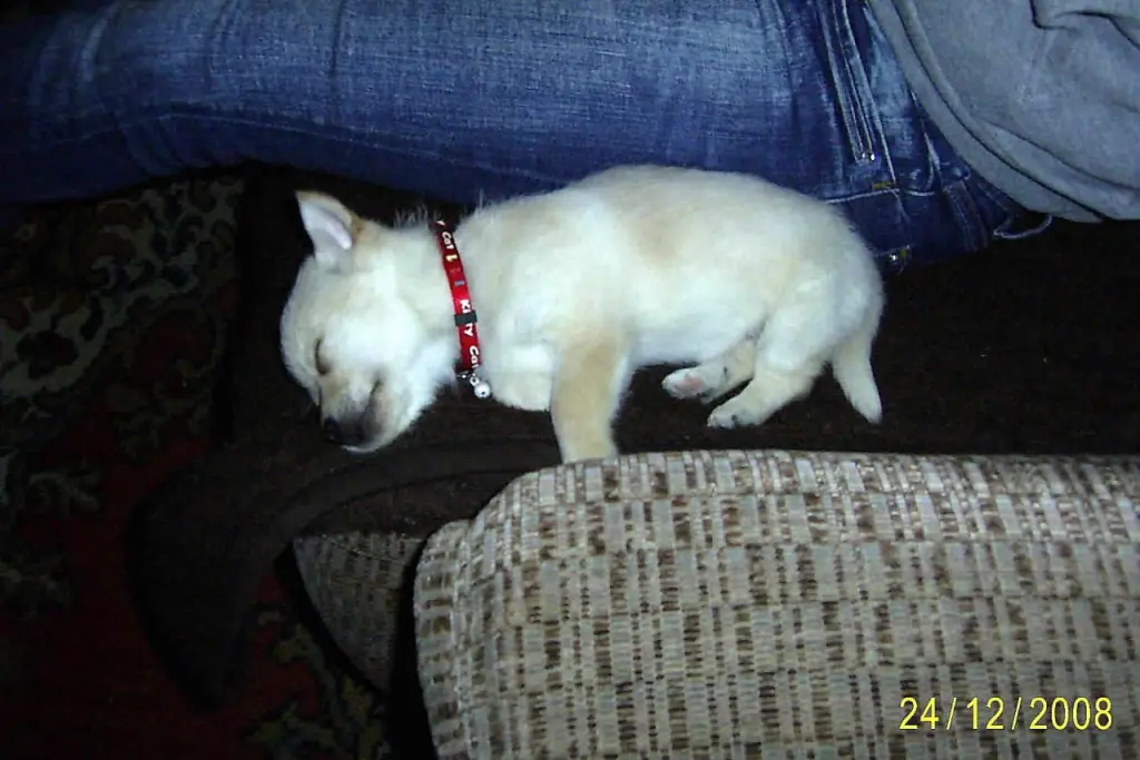 Bild von Teddy