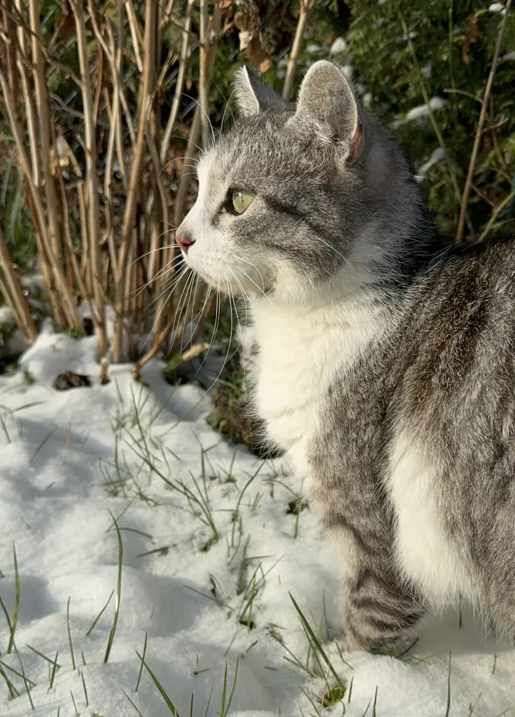 Bild von Jack