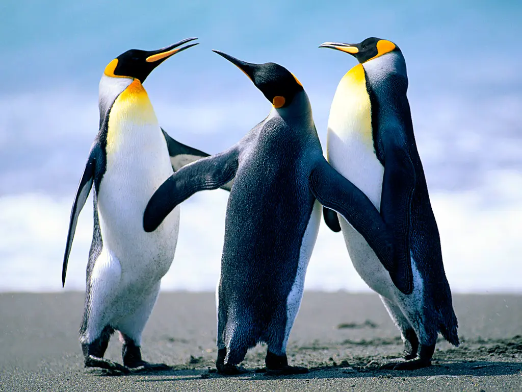 Andachtsbild von Sandra Wehner