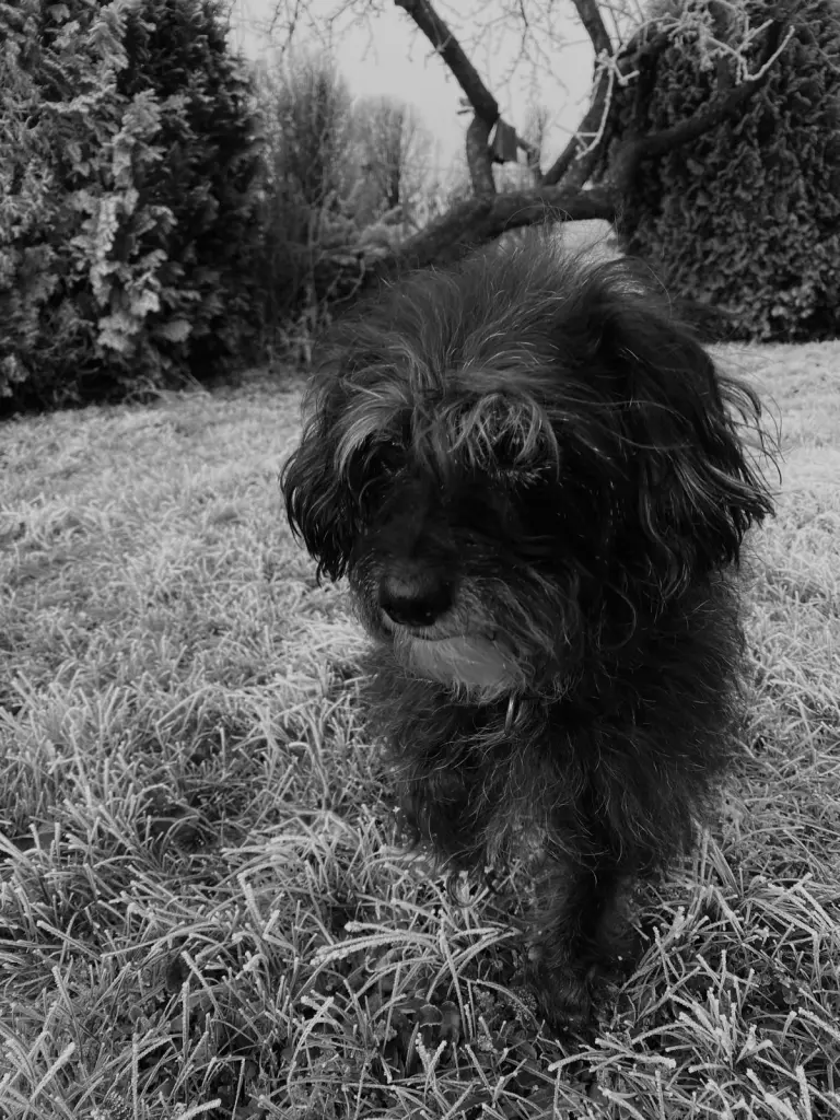 Bild von Lotti