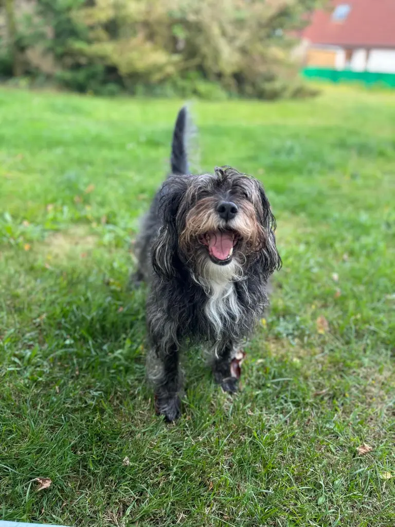 Bild von Lotti