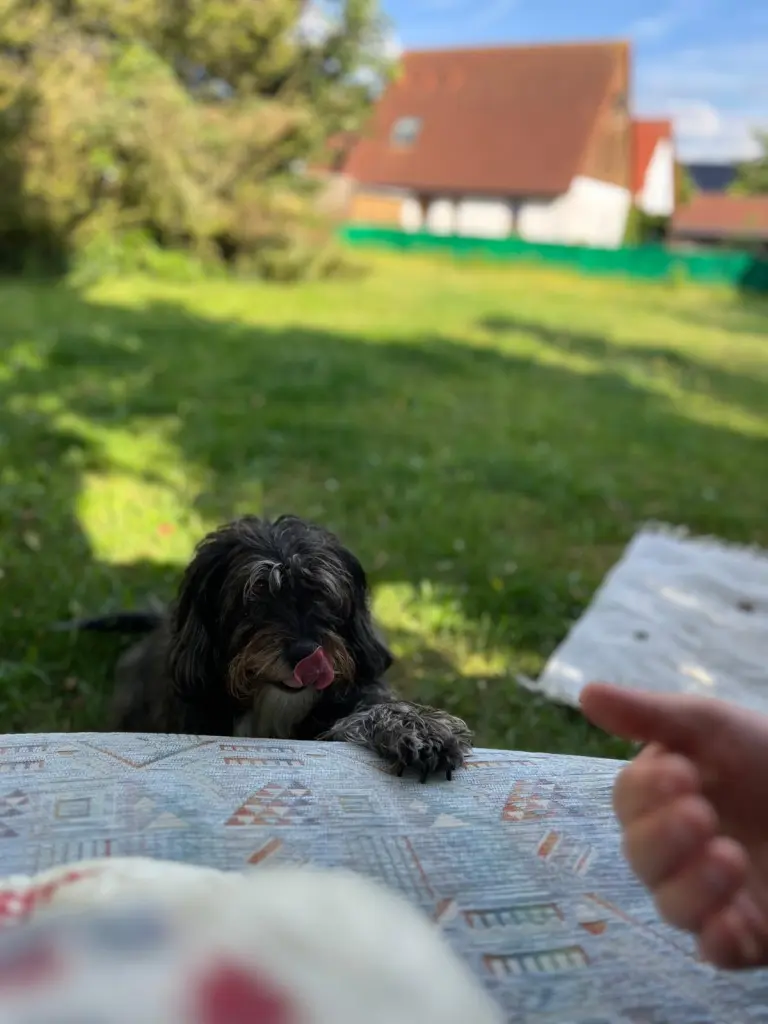 Bild von Lotti