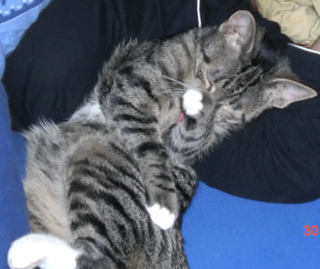 Bild von Zoe