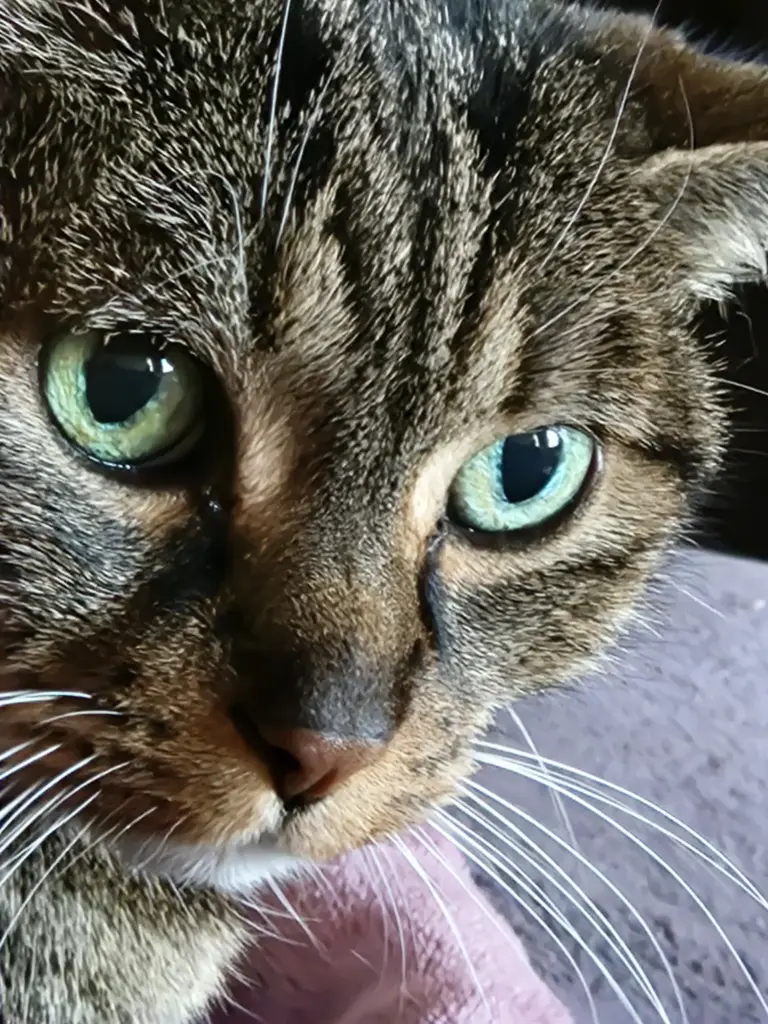 Bild von Zoe