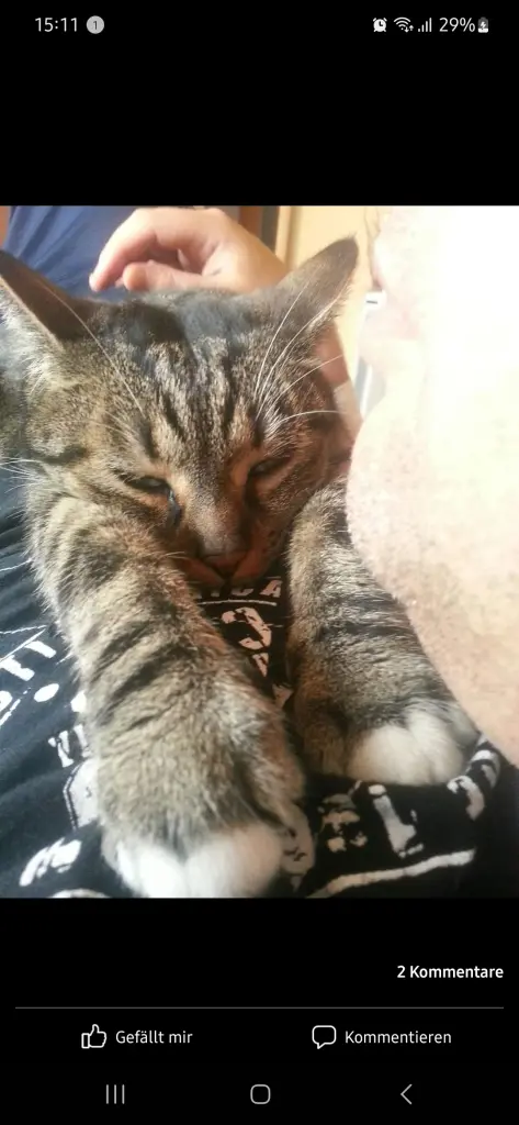 Bild von Zoe