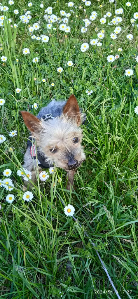 Image from Teddy