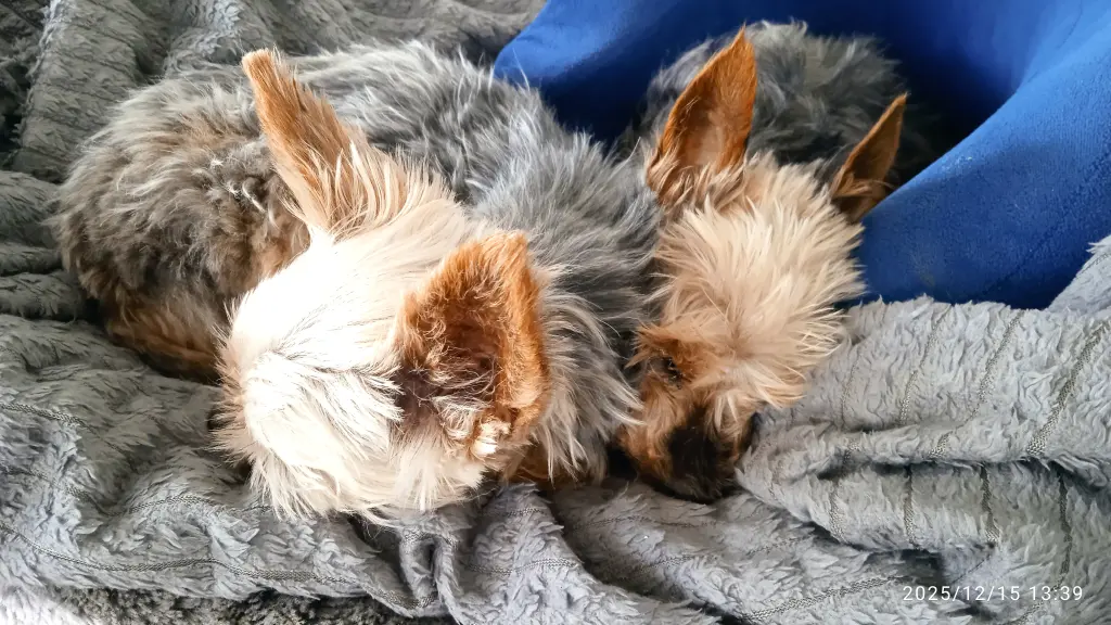 Kuscheln mit Luna