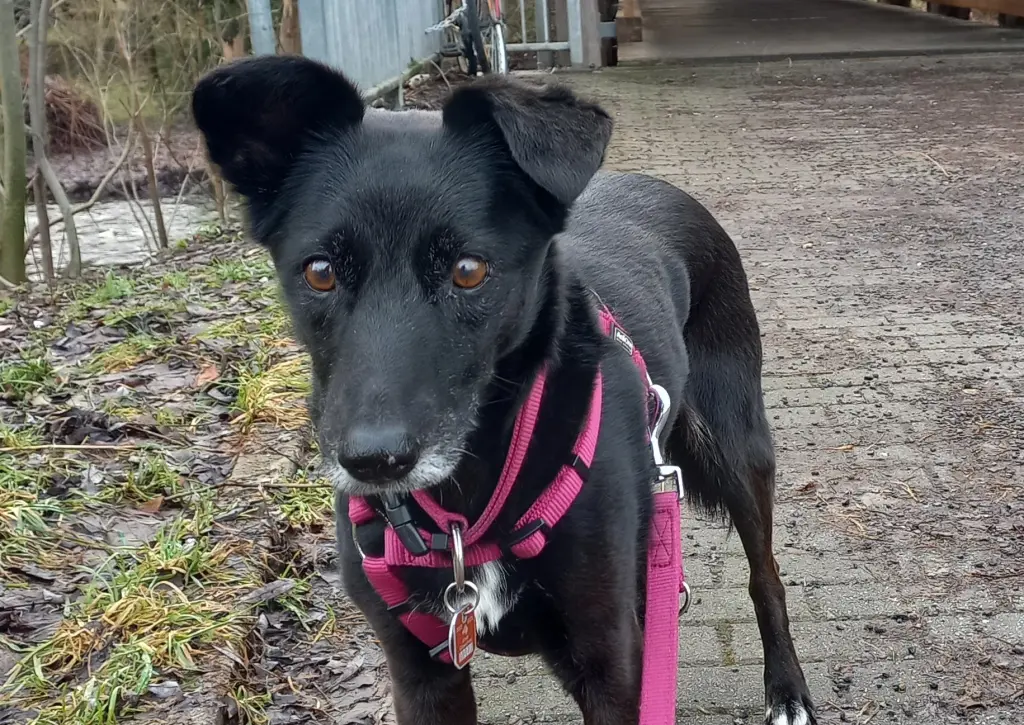 Bild von Sonya