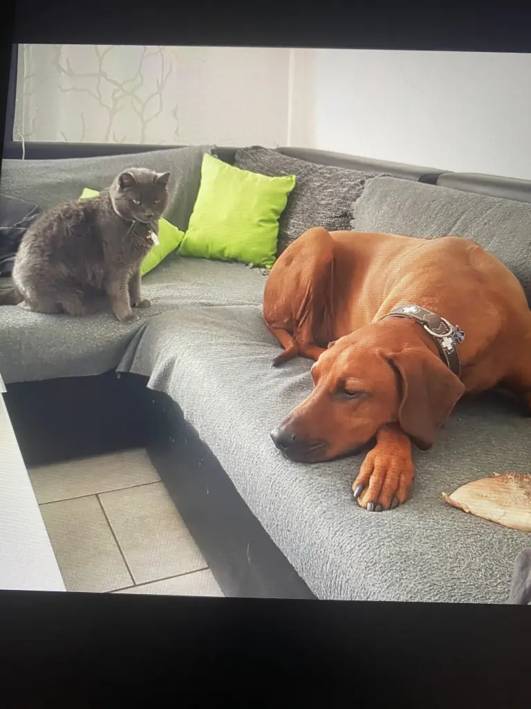 Andachtsbild von Jana Pietras