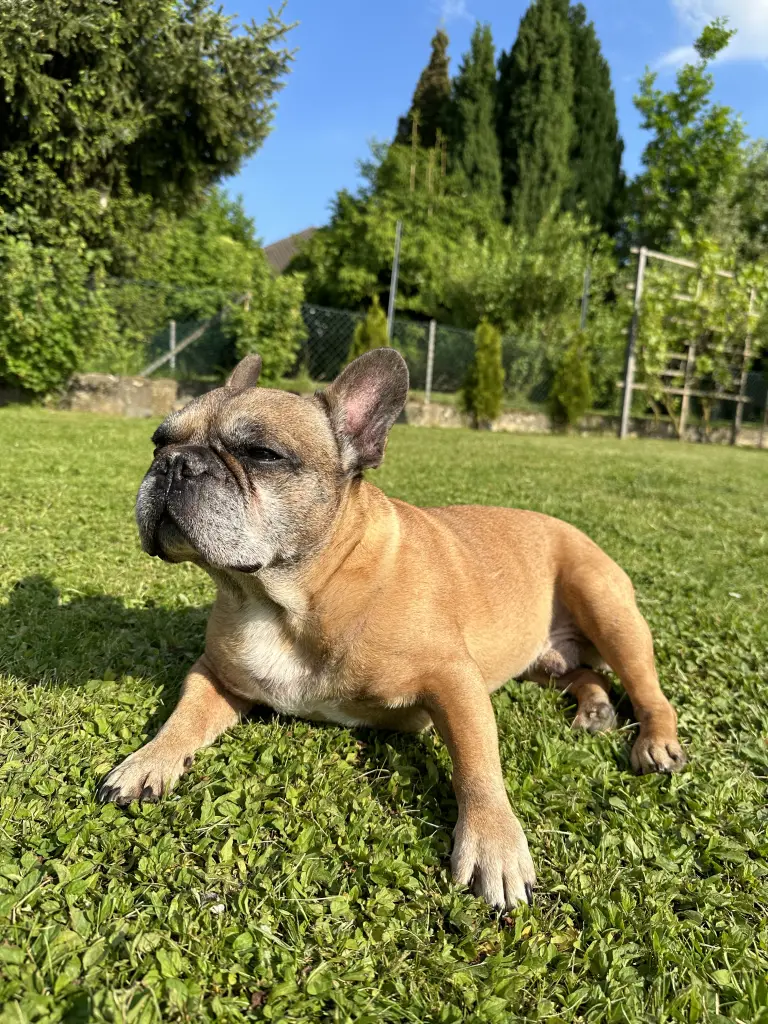 Bild von Watson