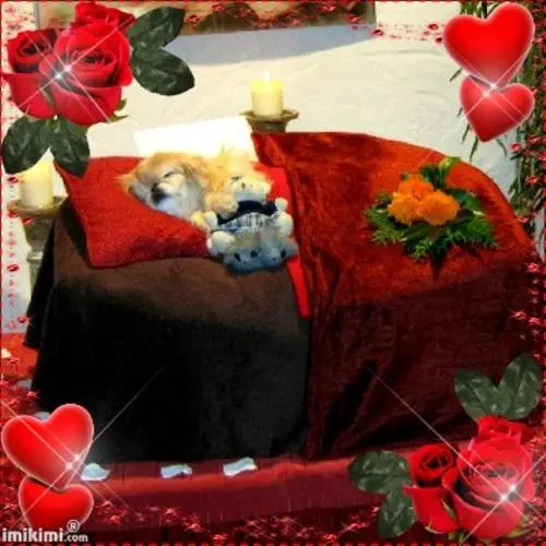 Image from meine geliebte treue Sina