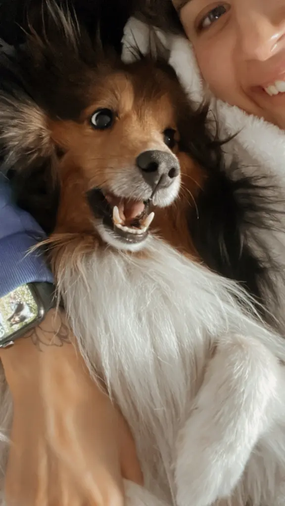 Für immer wir 2. 🖤
