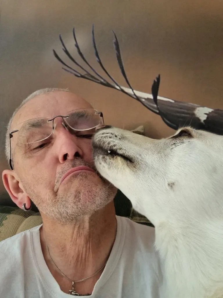 Bild von Lakota