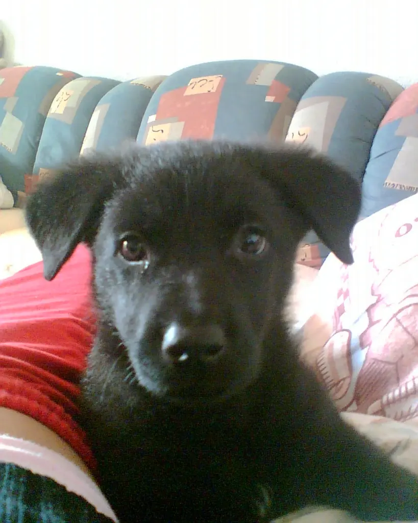 Image from Tjuke