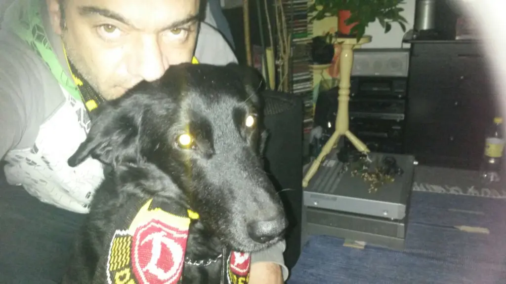 Image from Tjuke