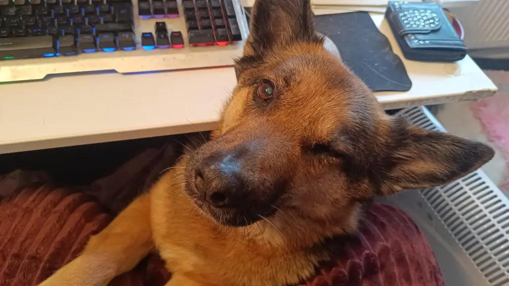 Andachtsbild von Bobby