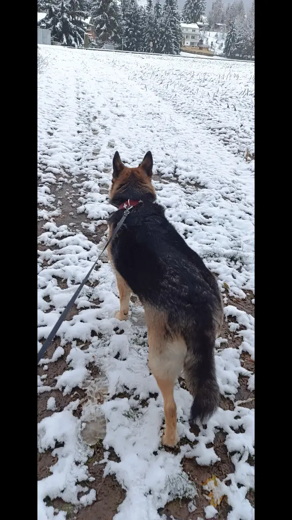 Meine Schneekönigin