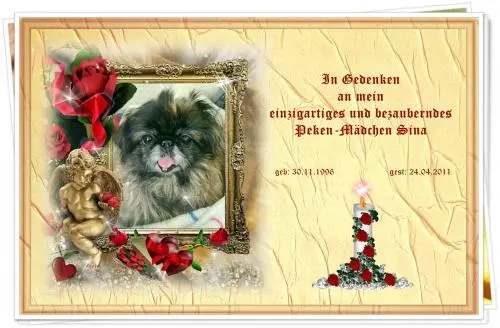 Image from mein süßes Peken-Mädchen Sina