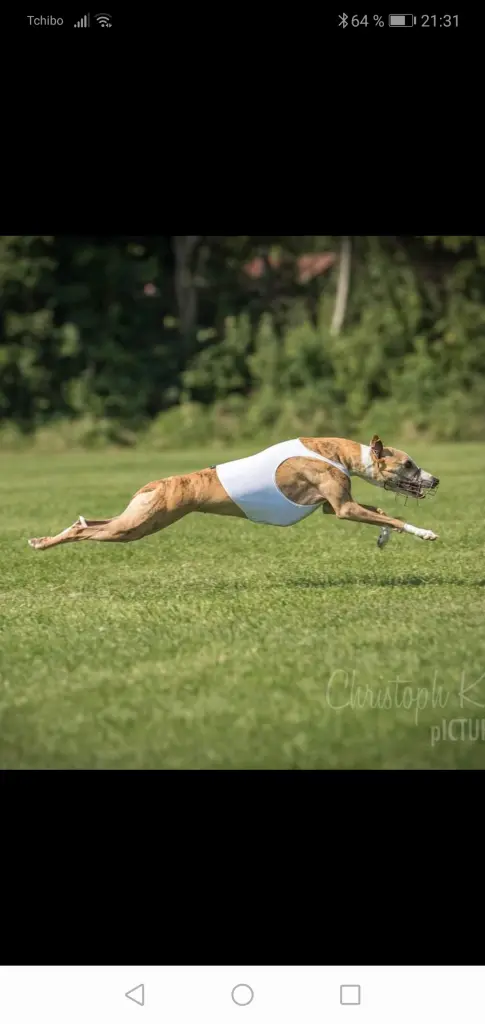 Sportlich