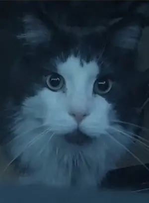 Bild von Micky