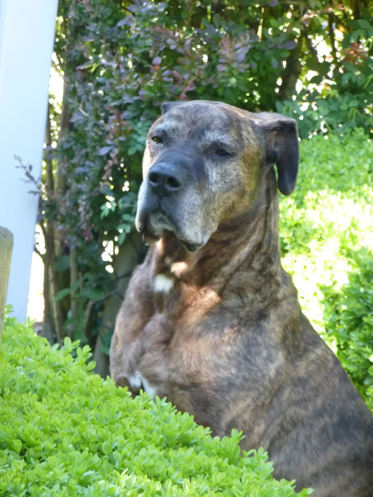 Andachtsbild von HZannelore