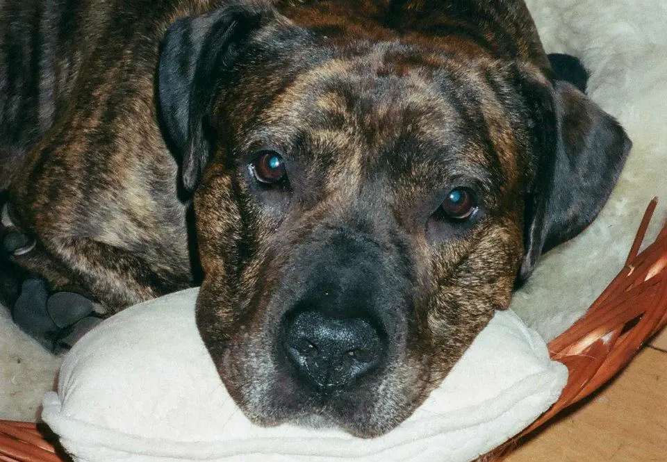 Bild von Zeus