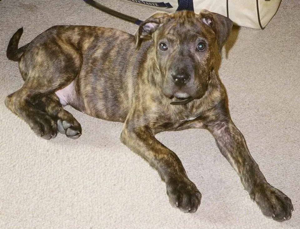 Bild von Zeus