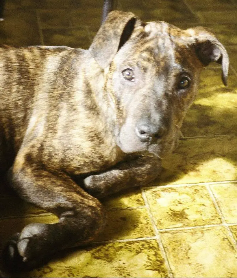 Bild von Zeus