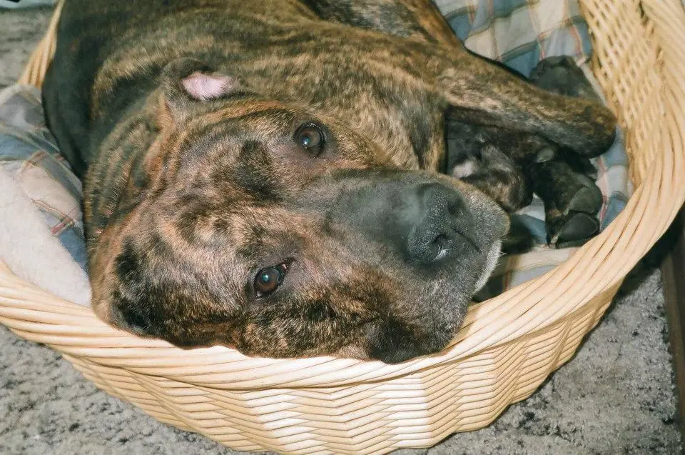 Bild von Zeus