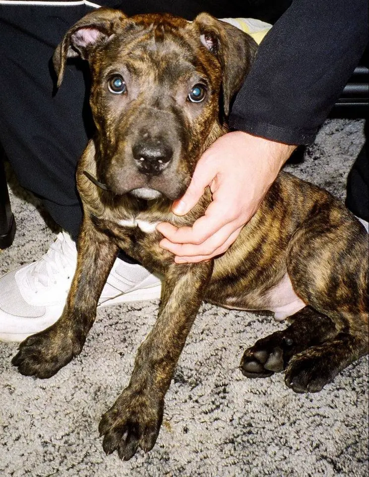 Bild von Zeus