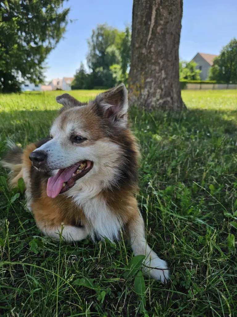 Bild von Chico