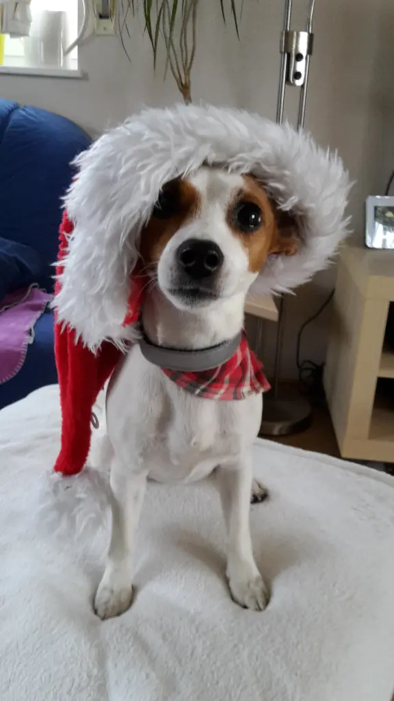 Bild von Molly