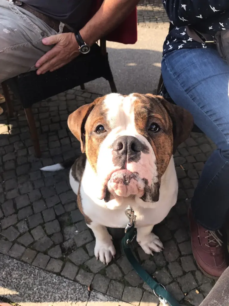 Bild von Karl