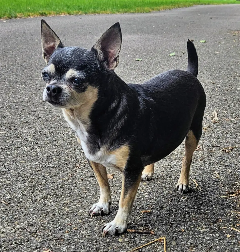 Bild von Lucky