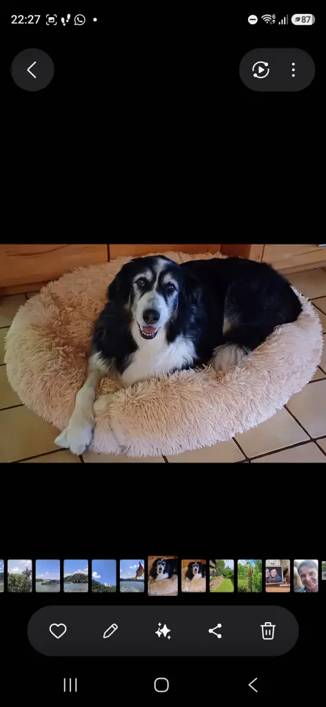 Bild von Spike