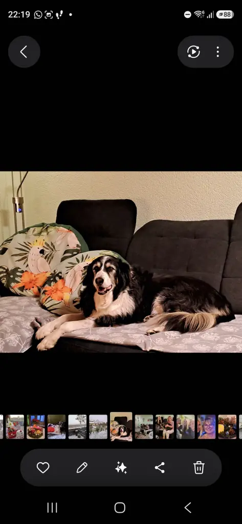 Bild von Spike