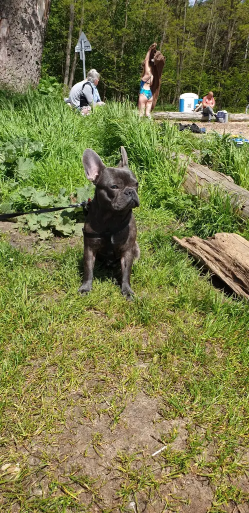 Bild von Milow