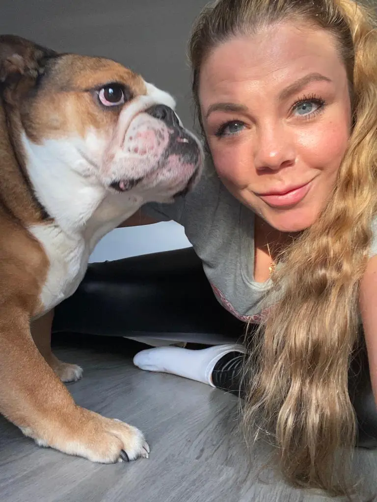 Bild von Buddy
