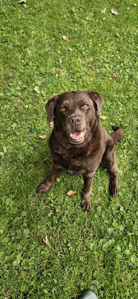 Bild von Kira
