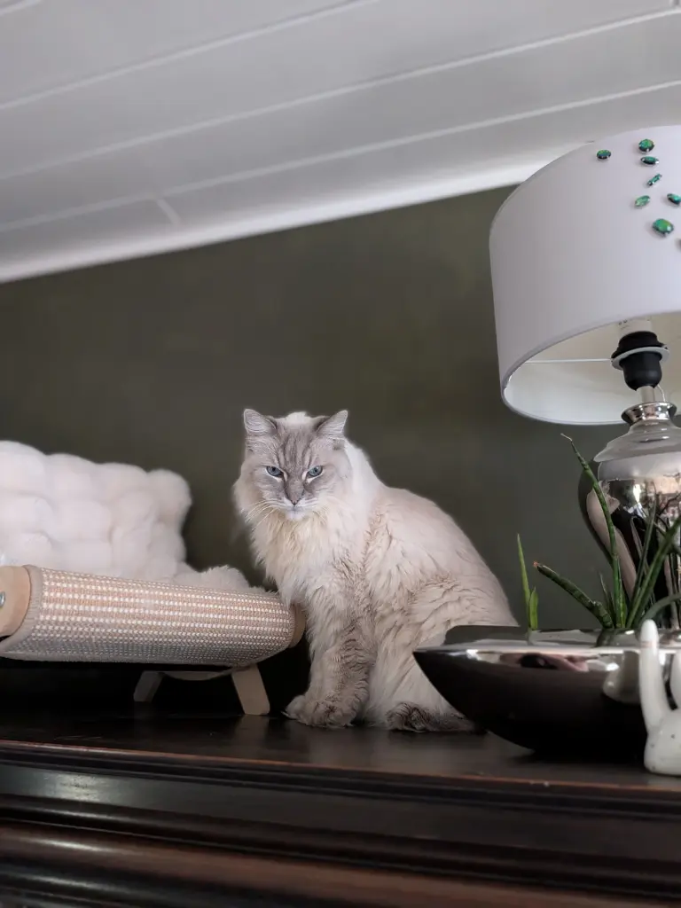 Andachtsbild von Ina Frauchen Siebelds