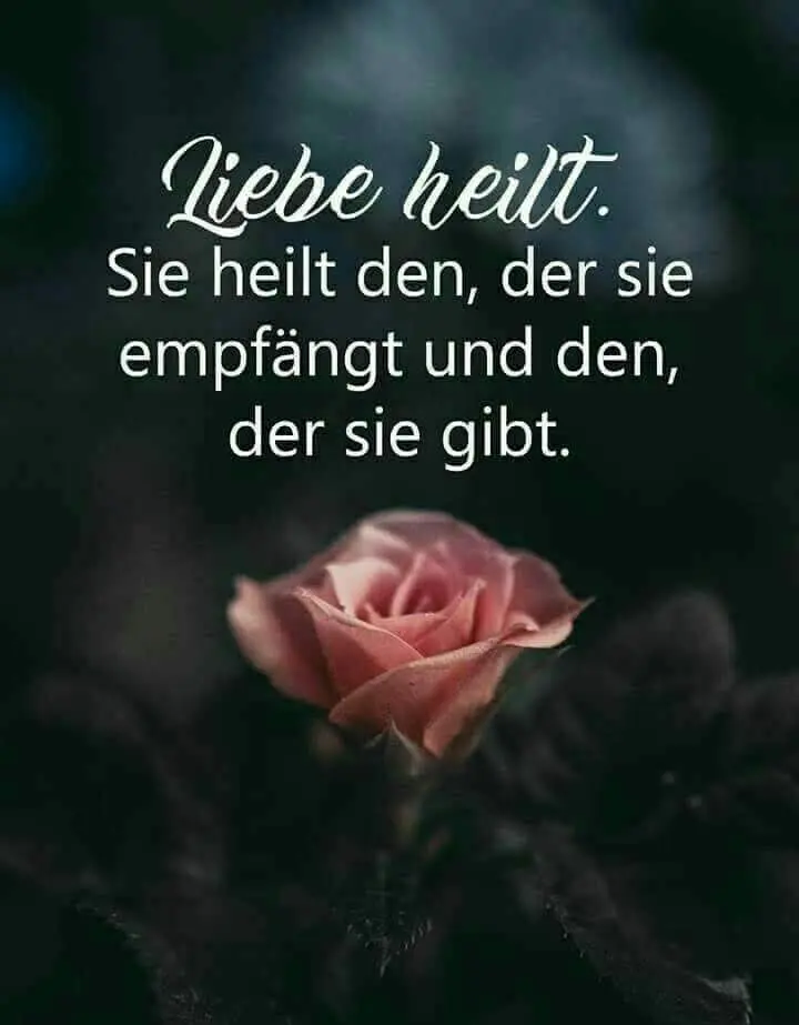 Condolence image of Unbekannt