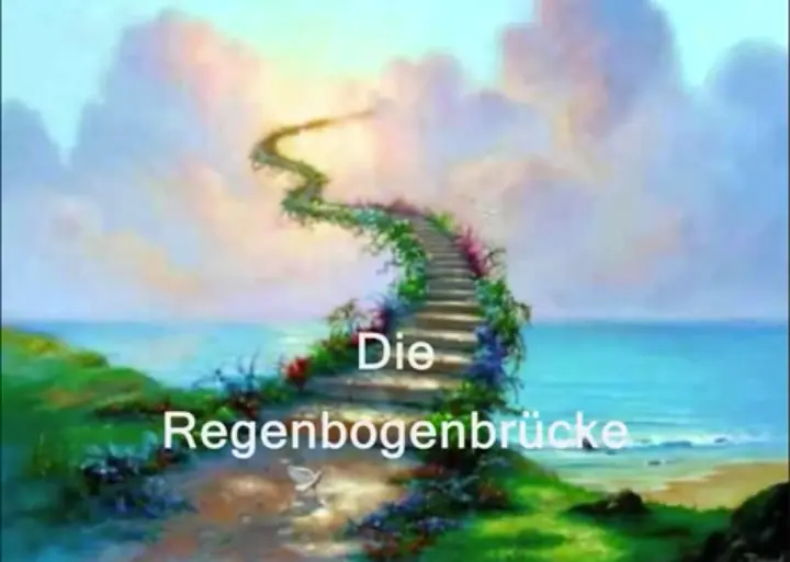 Condolence image of Frauchen