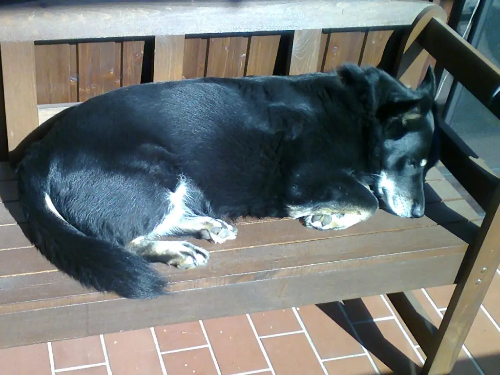 Condolence image of Katja