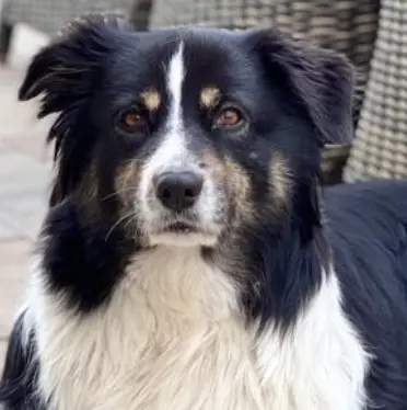 Bild von Nelly